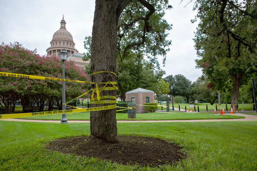 For many weeks, the grounds and buildings at the Texas Capitol Complex have been closed to...