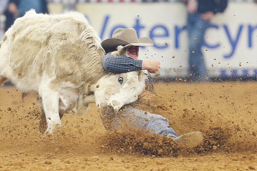 Justin Shaffer of of Hallsville, Tx., competes in the steer wrestling qualifier during The...