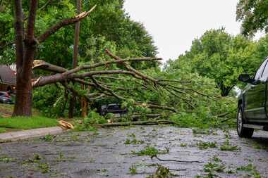 A car is seen underneath several large tree limbs on Cordova Street after severe...