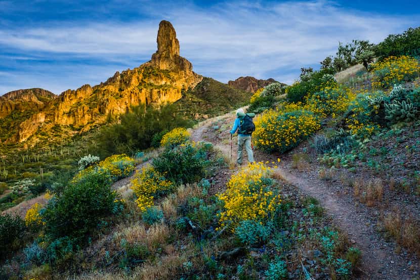 The Arizona National Scenic Trail is billed as one tough trek, encompassing diverse...