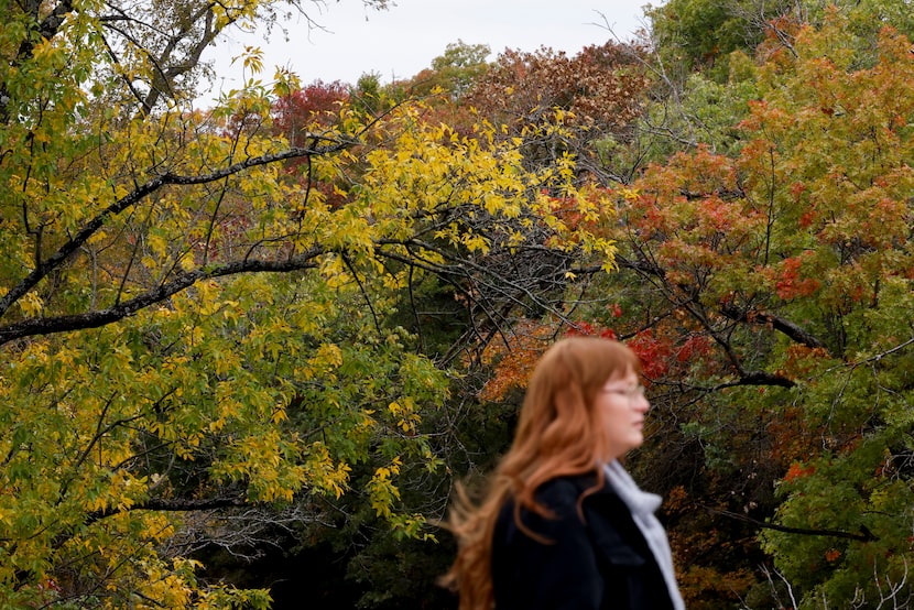 Against a backdrop of autumn foliage alongside the banks of Five Mile Creek near West Kiest...