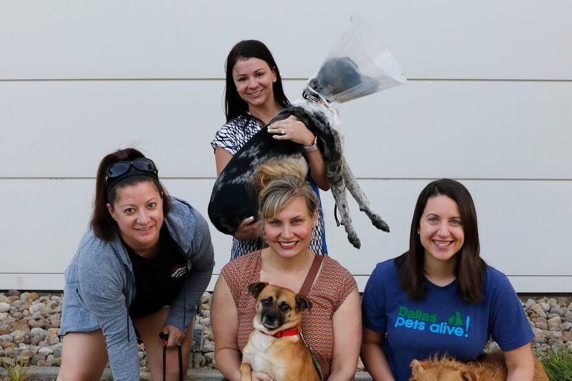 Amy Seiders (from left), with Egg Roll; Andra Adams, with Fauna; Christina Mastor...