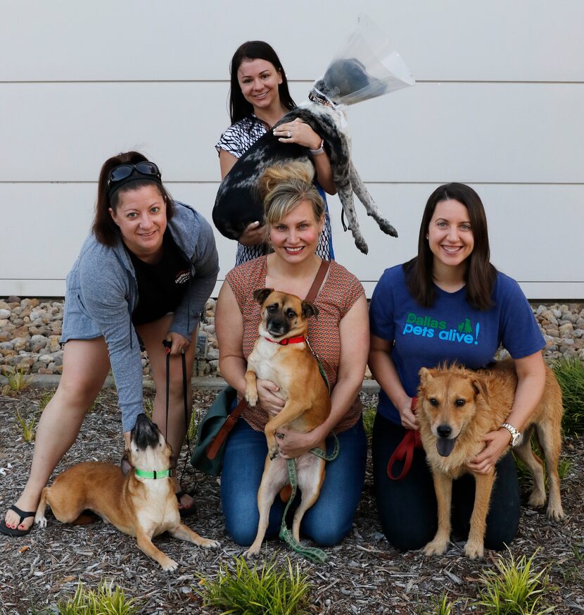 Amy Seiders (from left), with Egg Roll; Andra Adams, with Fauna; Christina Mastor...