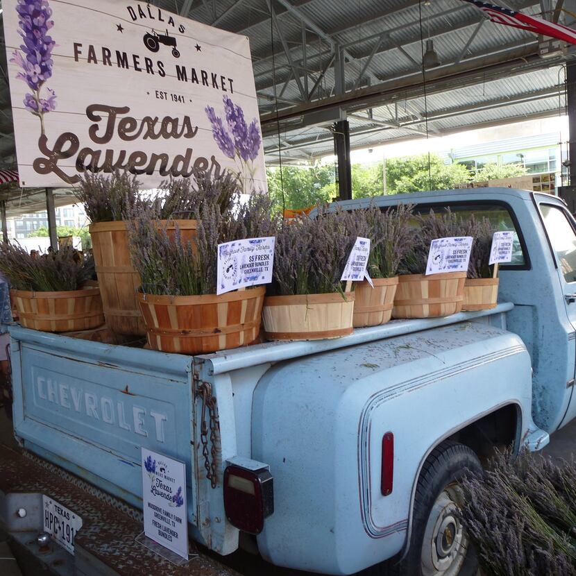 The Dallas Farmers Market was singling out and celebrating lavender growers last weekend,...