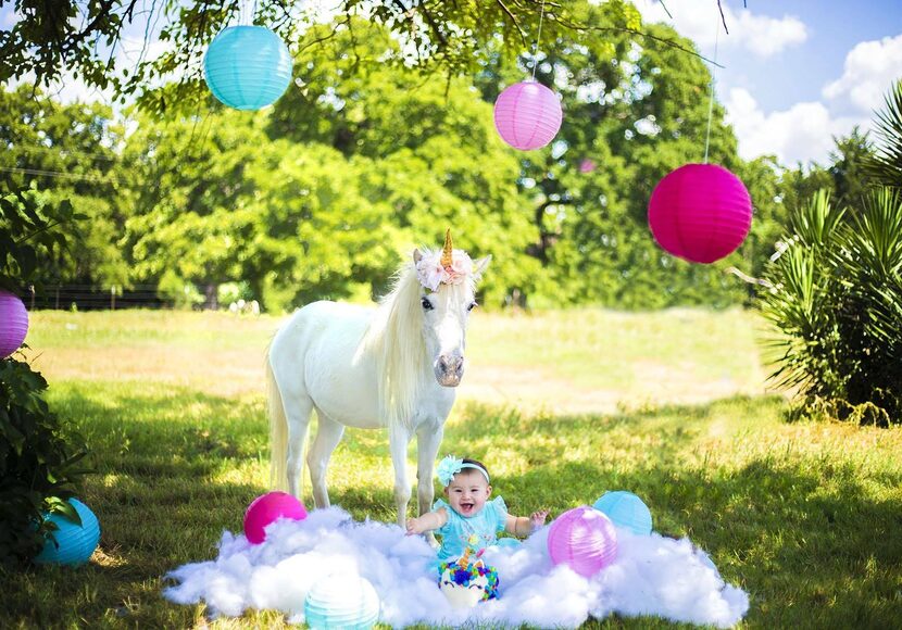 Air Ponies' "unicorns" are rescues owned by an Operation Kindness volunteer..