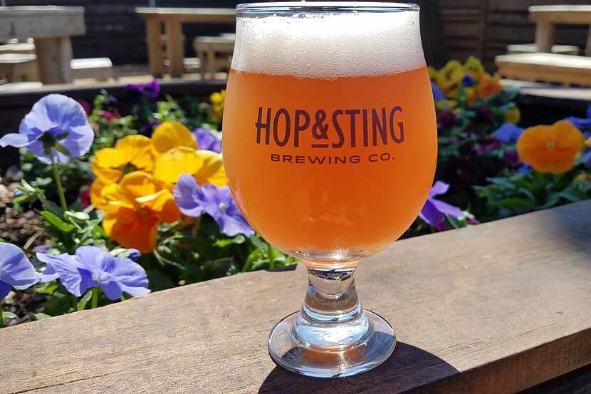 Hop & Sting Brewing Company in Grapevine, TX.