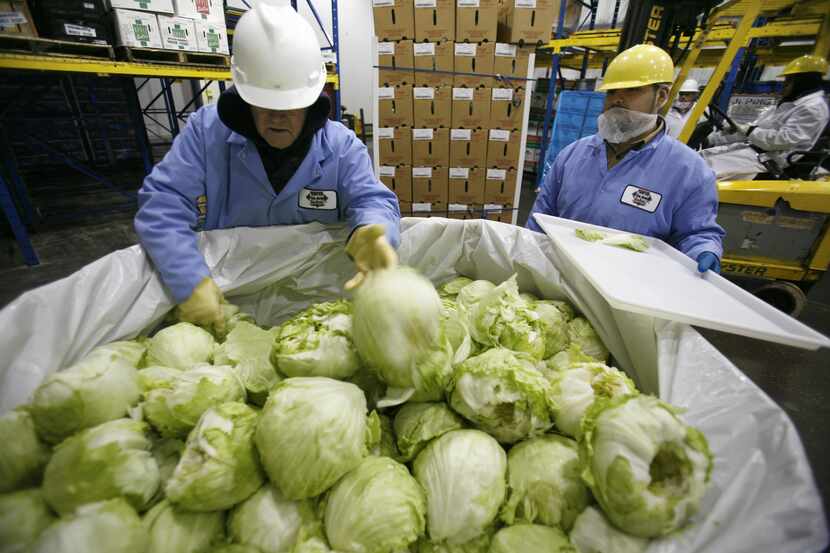 A quality assurance employee spot checked boxes of lettuce upon the shipment's arrival from...