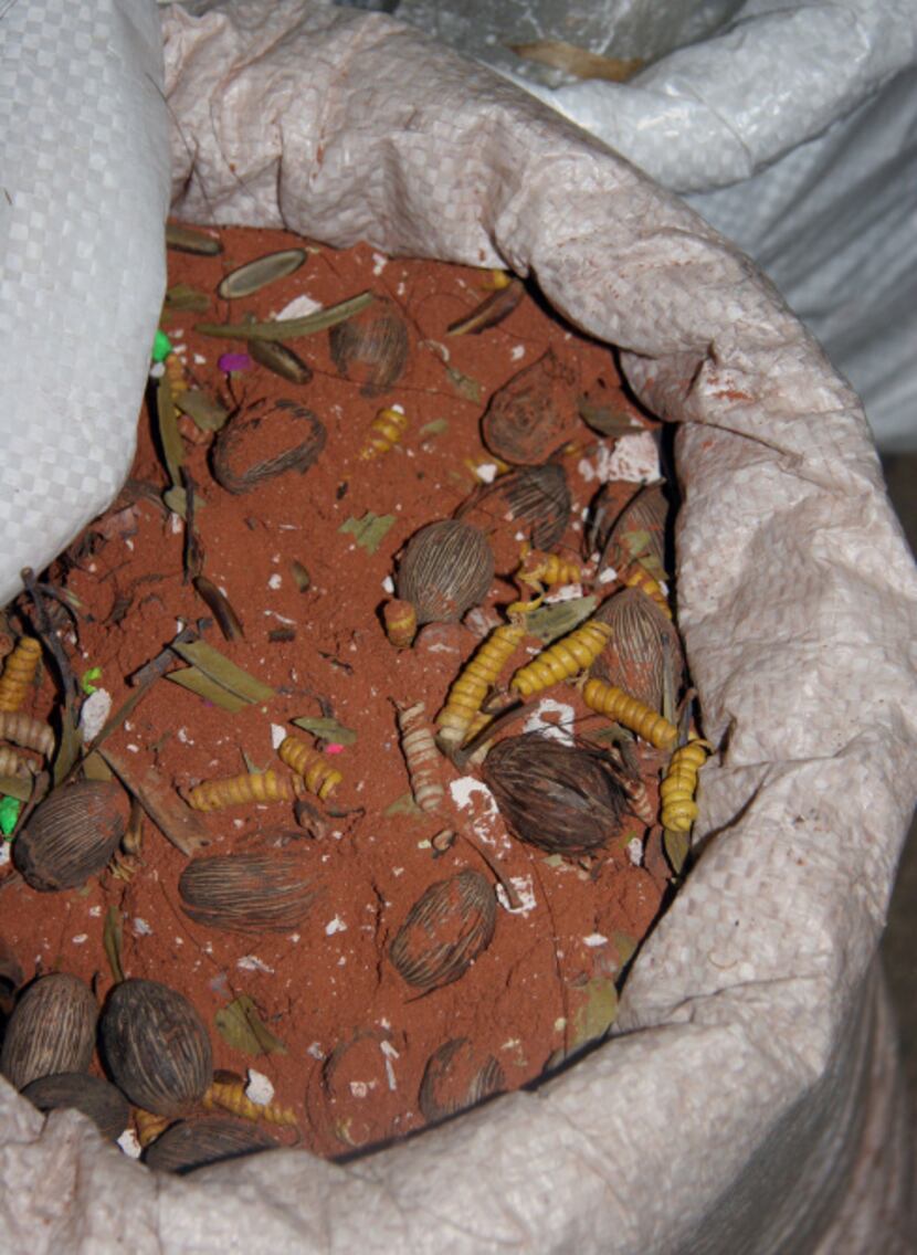 In this June 7, 2013 photo, a bin of hatun hampi is shown inside the witches market in Lima,...