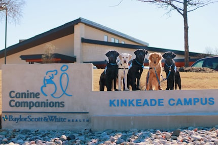 Five dogs on leashes sit next to a sign for the Baylor Scott & White Canine Companion center