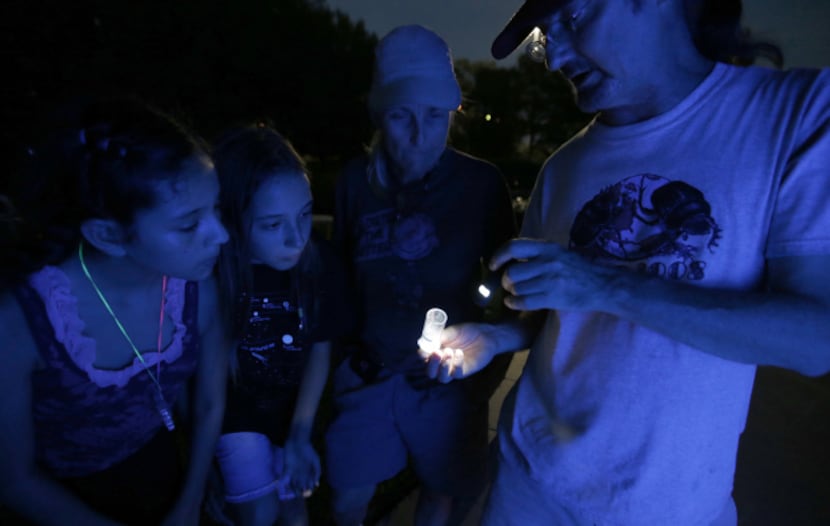 Illuminated by a black light, Texas Discovery Gardens entomologist John Watts, right, shows...
