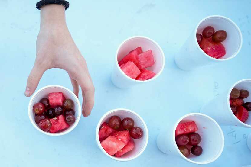 A member of the Coppell marching band reaches for a cup of fruit during break in a morning...