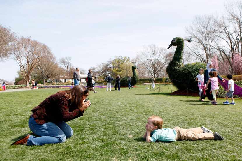 Marissa Pinder photographs her son Grant Pinder, 3, in the Jonsson Color Garden at the...