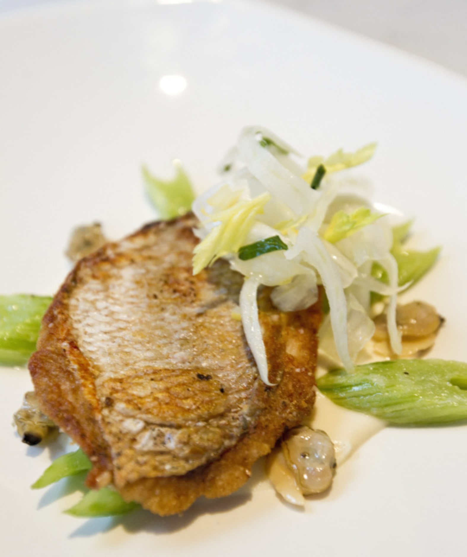 OAK: Pink snapper with Manila clams, celery and a suave bouillabaisse sauce