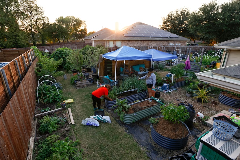 Veronica Petty, (left) a Lancaster-based farmer and master gardener, works with her daughter...