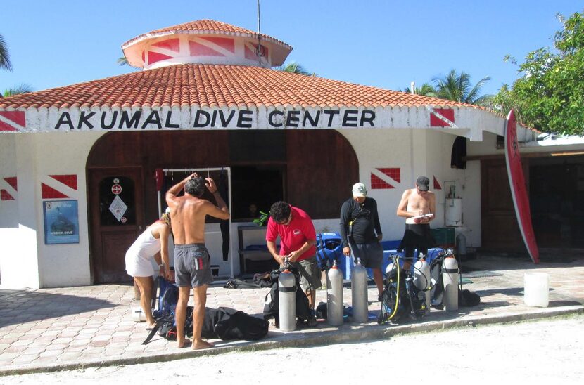 
The Akumal Dive Center offers scuba lessons, snorkeling gear, fishing expeditions and other...