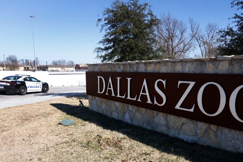 A Dallas police vehicle sits at an entrance at the Dallas Zoo in January 2023. When police...