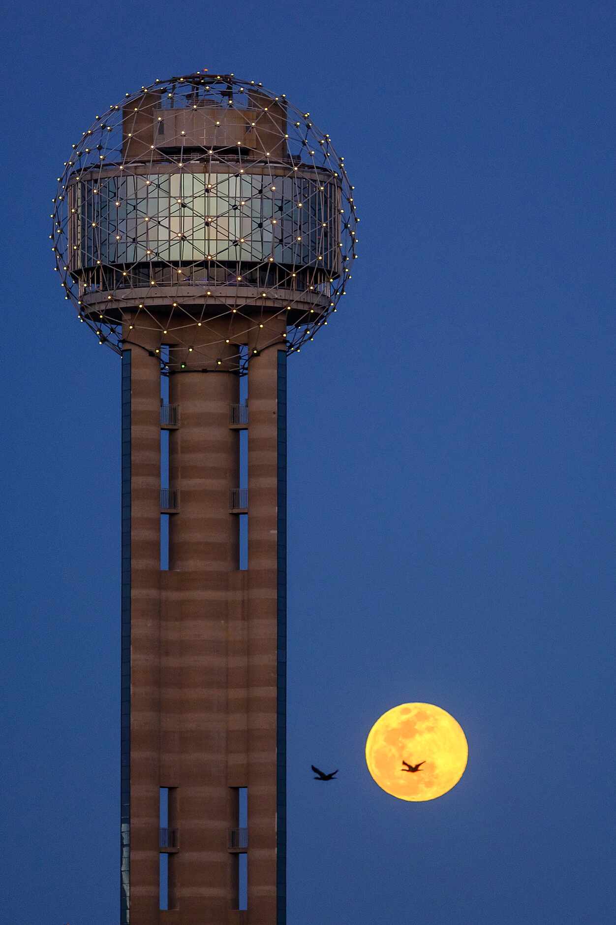 A worm moon, which is the first full moon in March, rises beyond Reunion Tower in downtown...