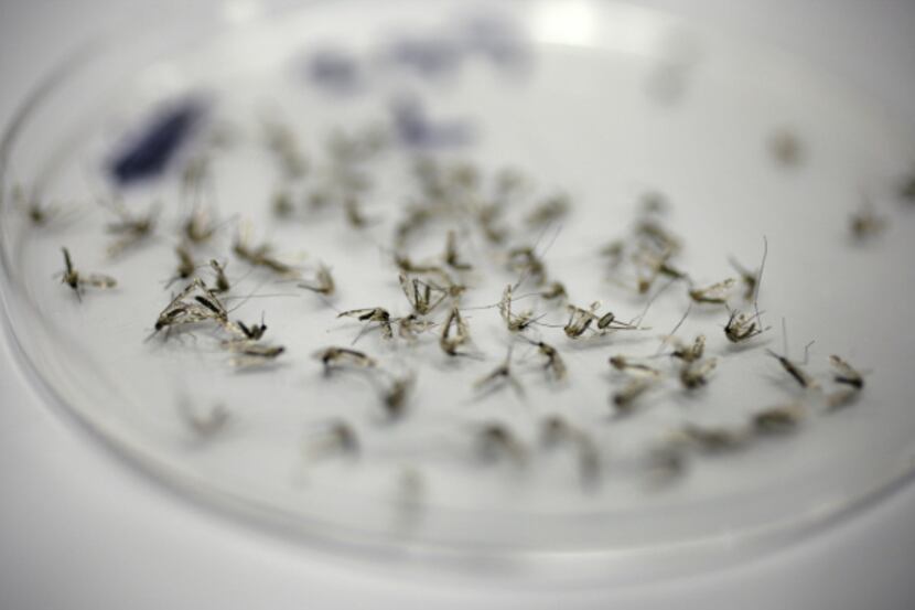Grand Prairie will spray for mosquitoes after two more tested positive for West Nile virus.