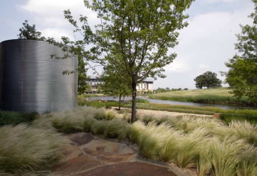 Native prairie grasses surround rain containers that collect runoff, one of the property's...