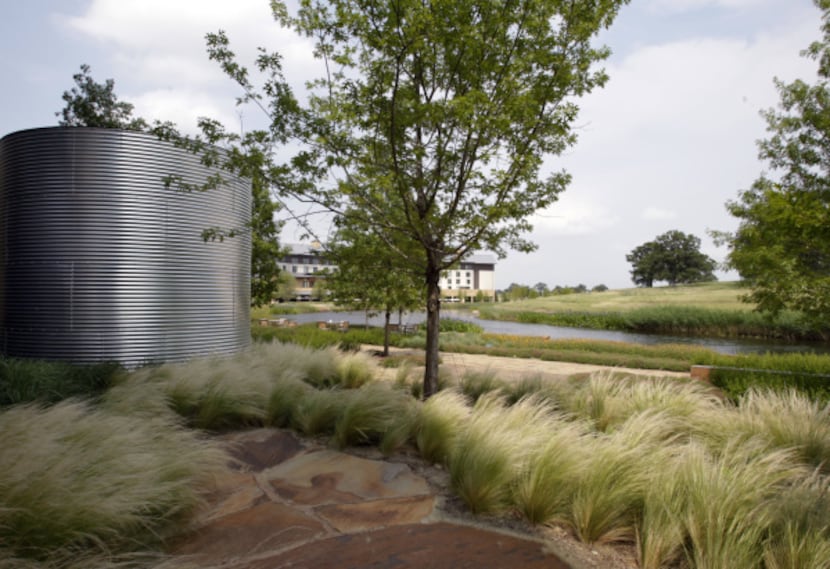 Native prairie grasses surround rain containers that collect runoff, one of the property's...