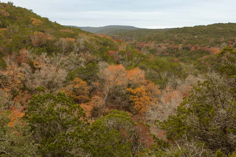 The Albert and Bessie Kronkosky State Natural Area is nestled in pristine Texas Hill Country...