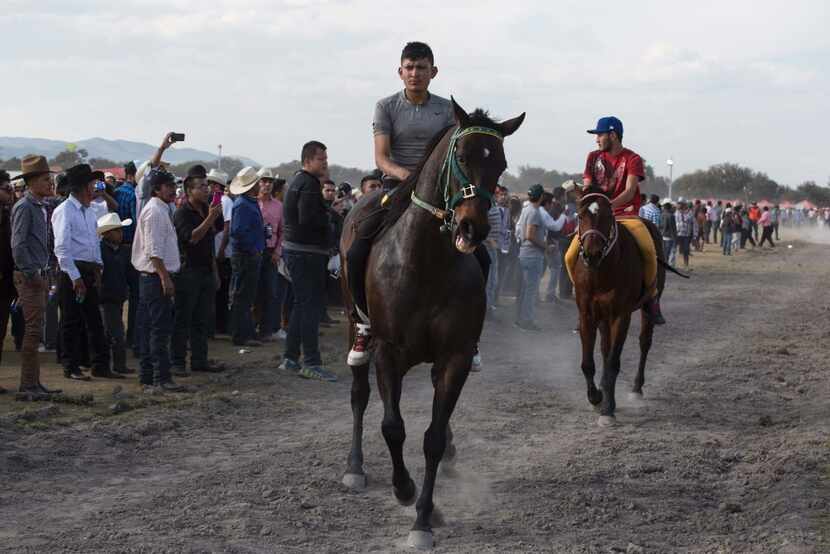 Tragedy marred the horse race that took place earlier in the day, as two people entered the...