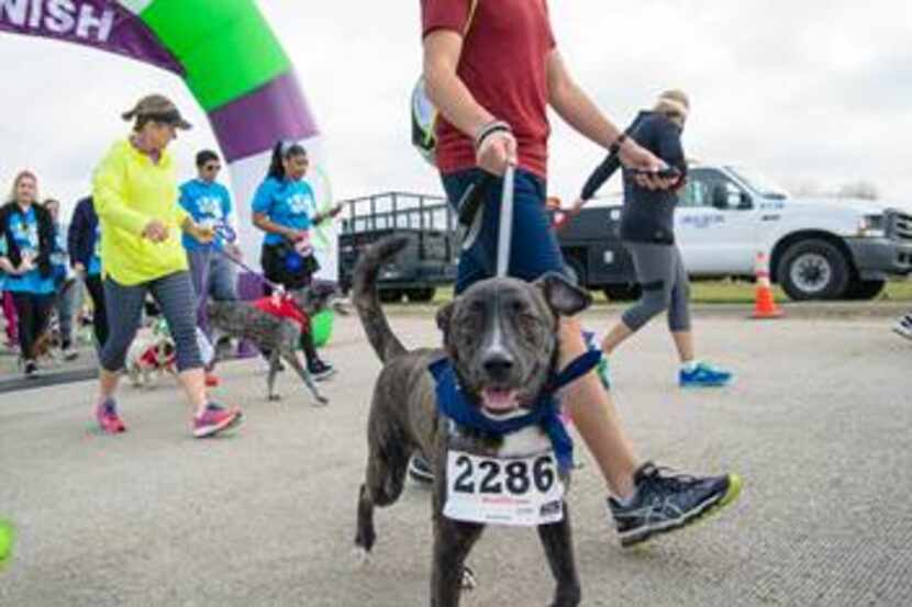 This year's Run for Rover is Saturday morning, starting at McInnish Dog Park. (City of...