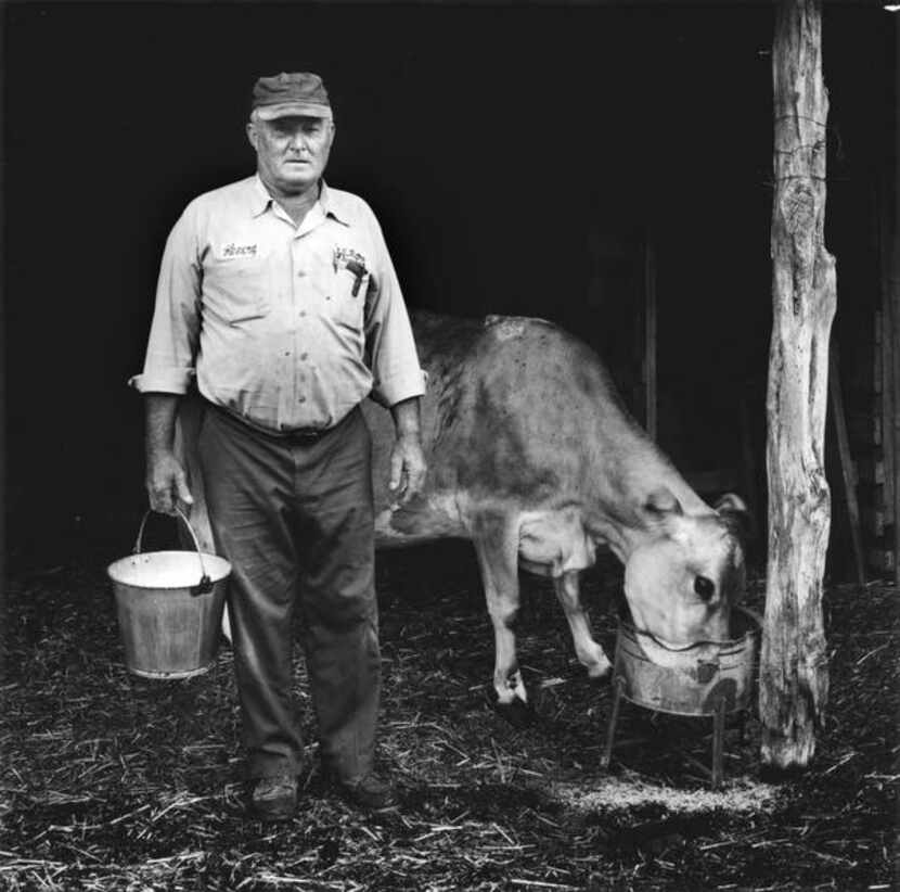   Philip Montgomery photographed  Henry Schmidt with the family’s milk cow as part of his...