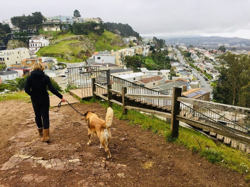 The 16th Avenue Tiled Stairs lead to a commanding view over the city and sea. 