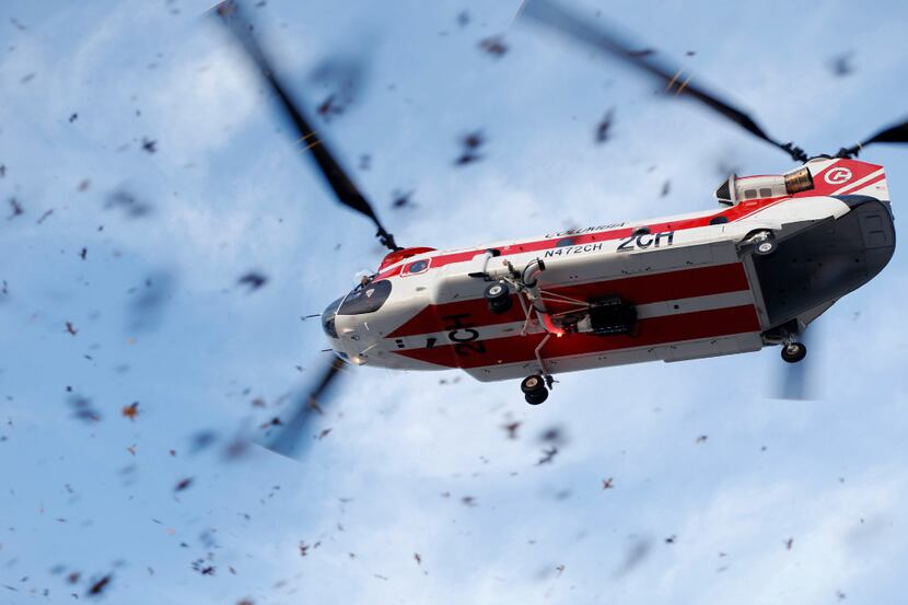 A Boeing CH-47D Chinook helicopter kicks up leaves as it lands days before the Helicopter...