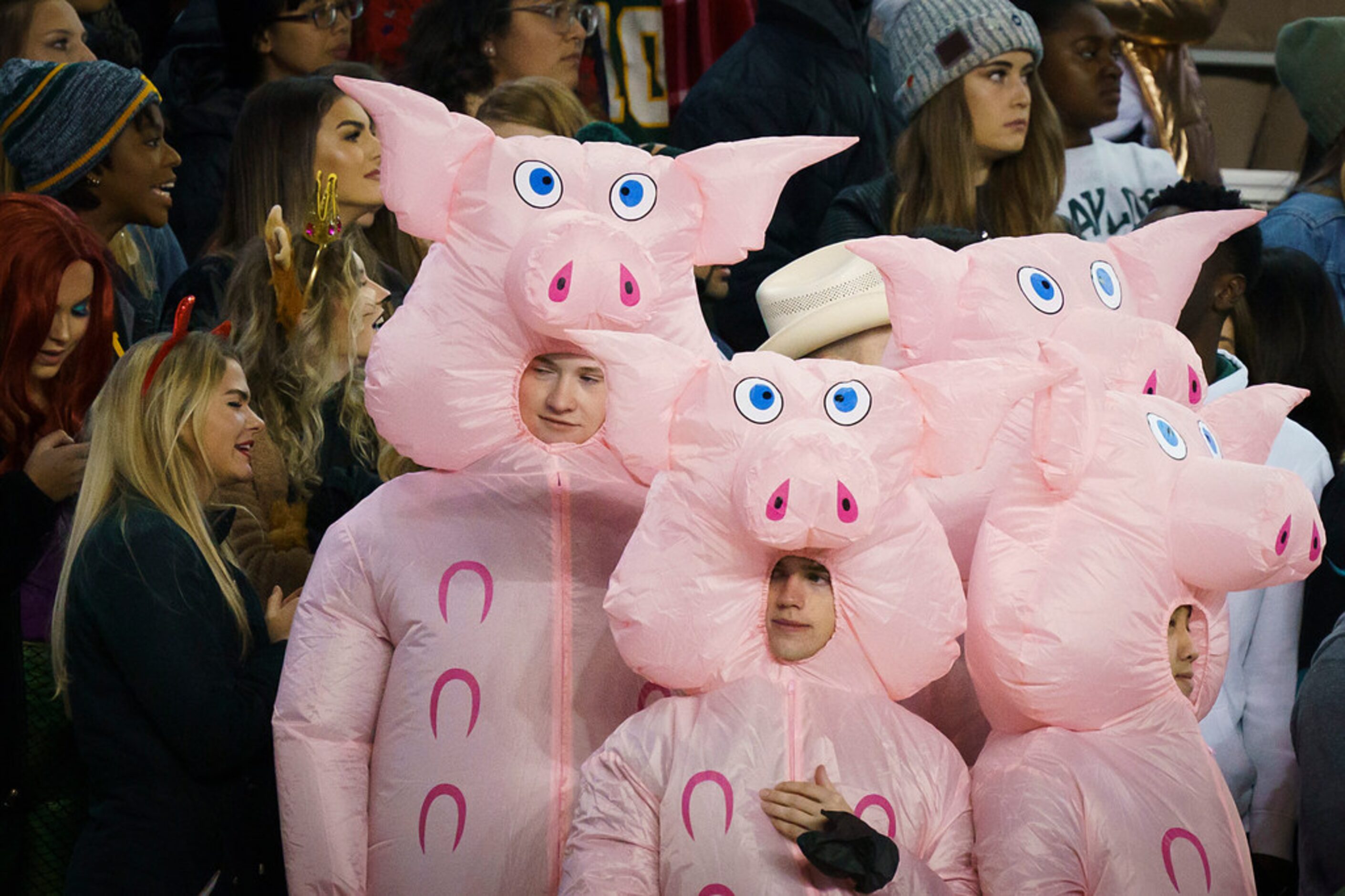 Baylor fans wear Halloween costumes in the stands during the first half of an NCAA football...