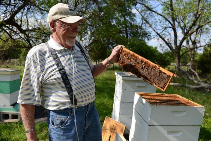 
Lewis tends to one of his bee hives. 
