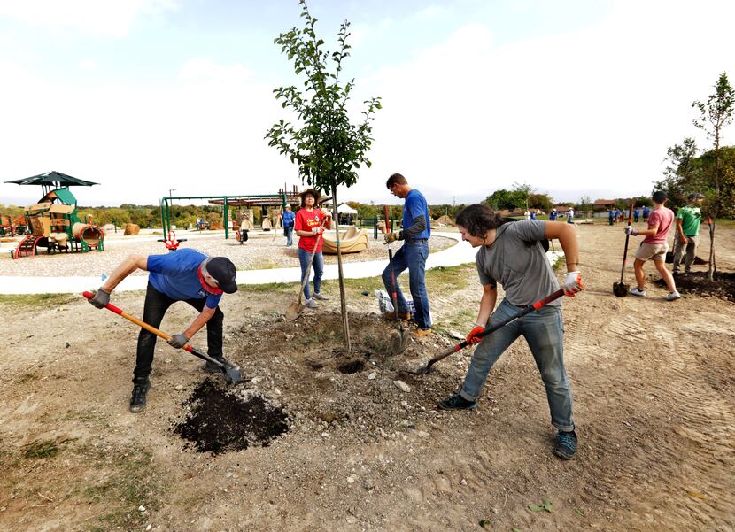 Volunteers planted trees Oct. 23 at White Rock Hills Park around the new playground...