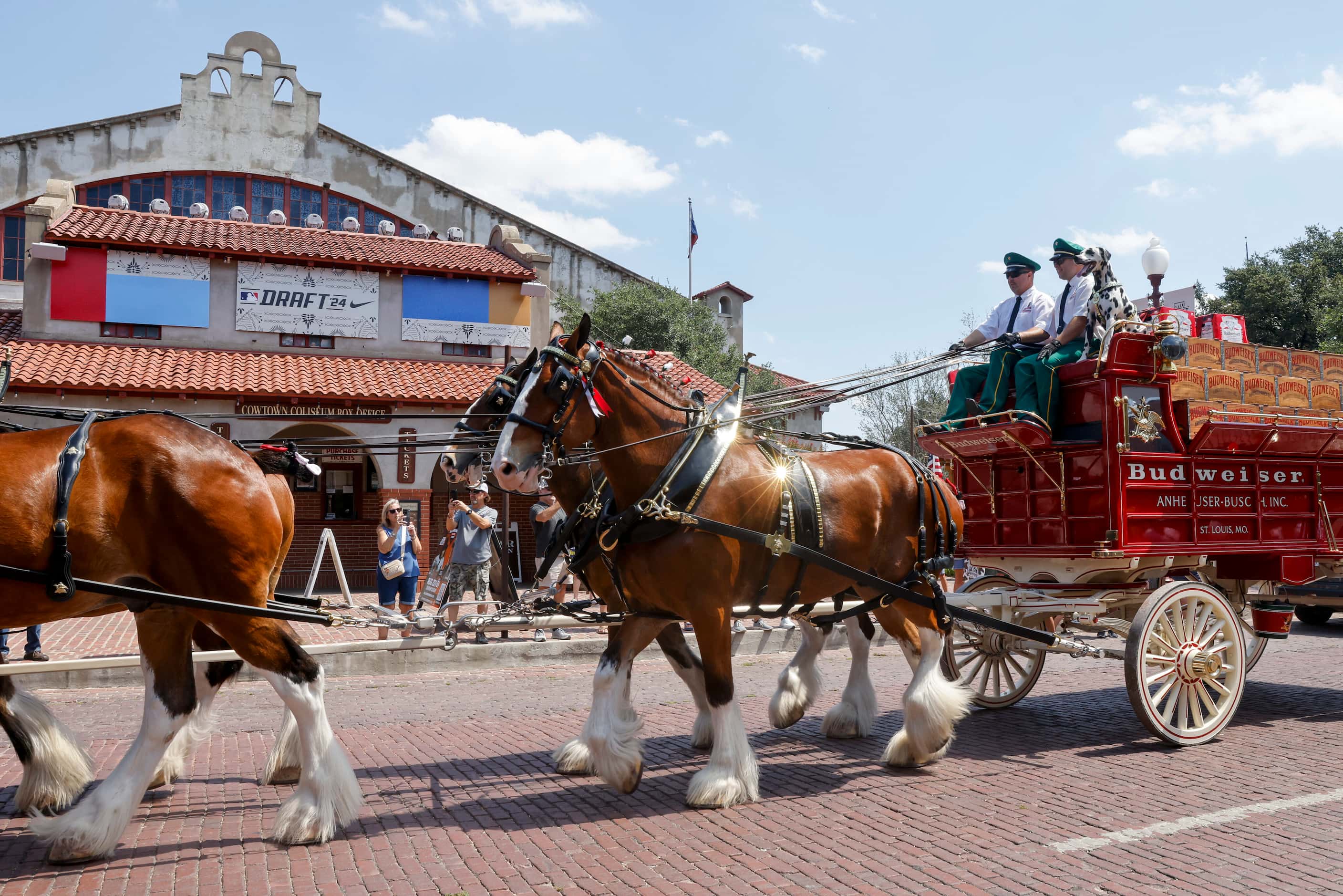 The Budweiser Clydesdales march past the Cowtown Coliseum in The Stockyards, Friday, July...