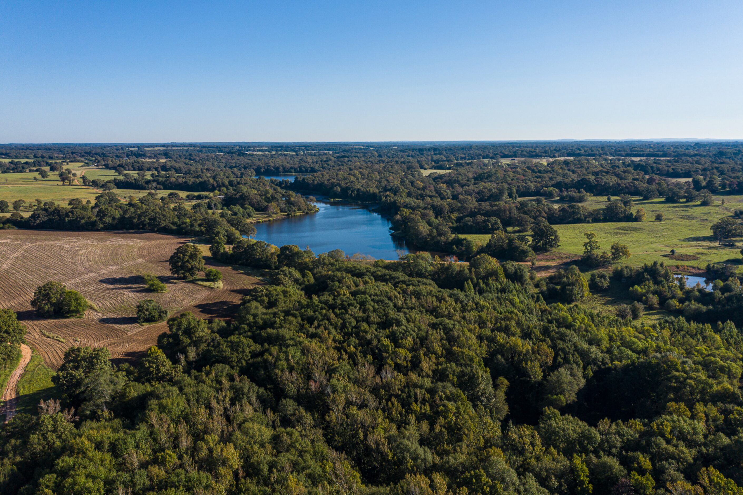 The perimeter of the property has been planted with more than 70,000 pine trees - quite...