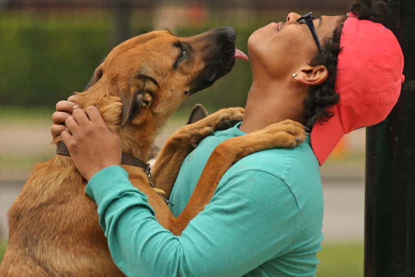 Chris Harris makes friends quickly with a dog that wasn't his at the Bark Park in Deep...