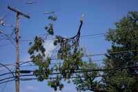A tree limb rests on a power line following Tuesday’s storm on Wednesday, May 29, 2024, in...