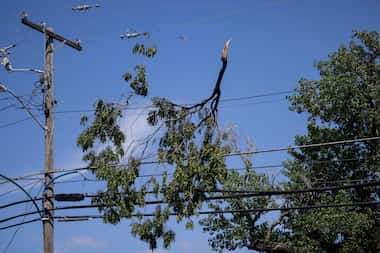 A tree limb rests on a power line following Tuesday’s storm on Wednesday, May 29, 2024, in...