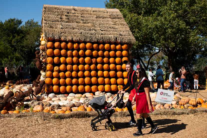 El Pumpkin Village está abierto del 16 de septiembre al 5 de noviembre, todos los días de 9...