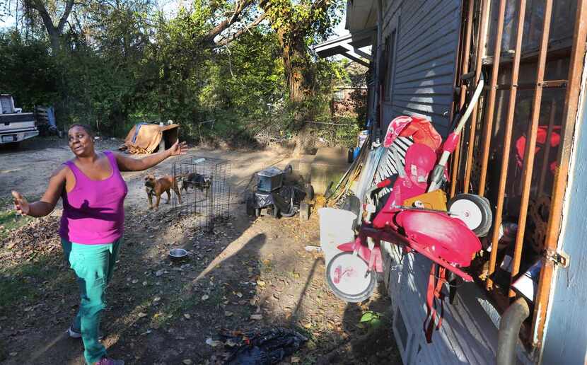 
Nina Eldridge explains that she puts items in a rotting window frame to try to keep...