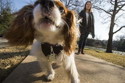 Pham's dog Bentley was quarantined after Pham became ill but never contracted Ebola.