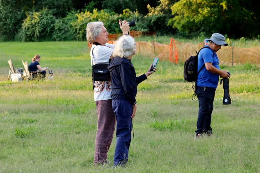 People gather near White Rock Lake to watch a pair of bald eagles and their eaglets,...