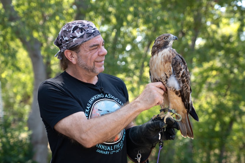 Rick Grimes with his hawk, Sakura, at his home in Carrollton, Texas on Oct. 8, 2024. 