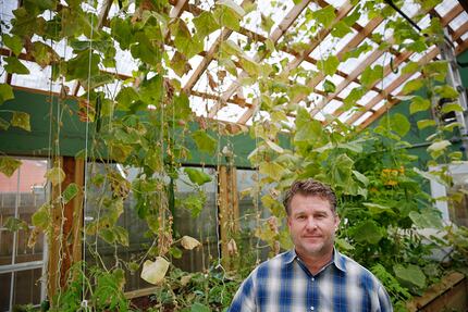 Daron Babcock stands for a portrait in a greenhouse containing cucumbers and tilapia in the...