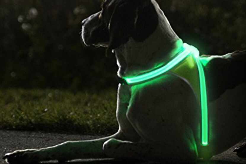 You and your pooch can both be seen with NoxGear
