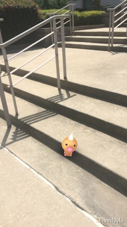 A wild Weedle appears on the steps outsides of The Dallas Morning News through the...
