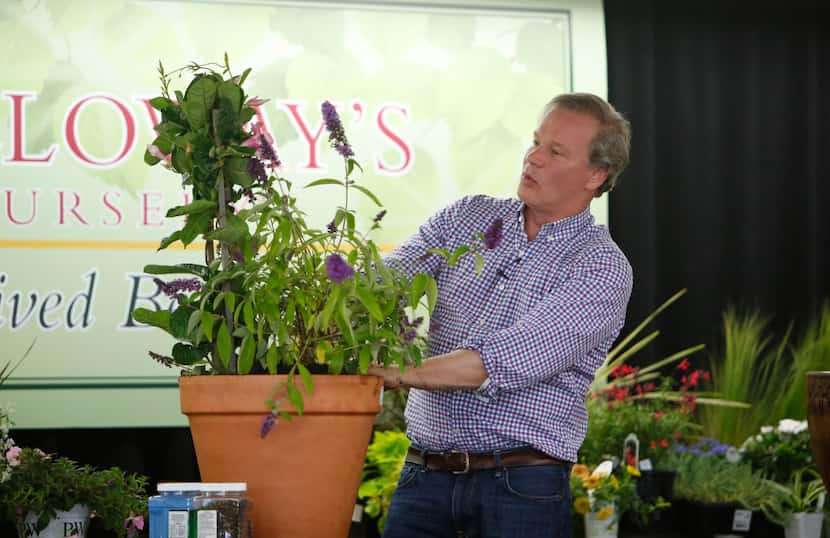 P. Allen Smith demonstrates how to build a container garden at Calloway's Nursery in Plano.