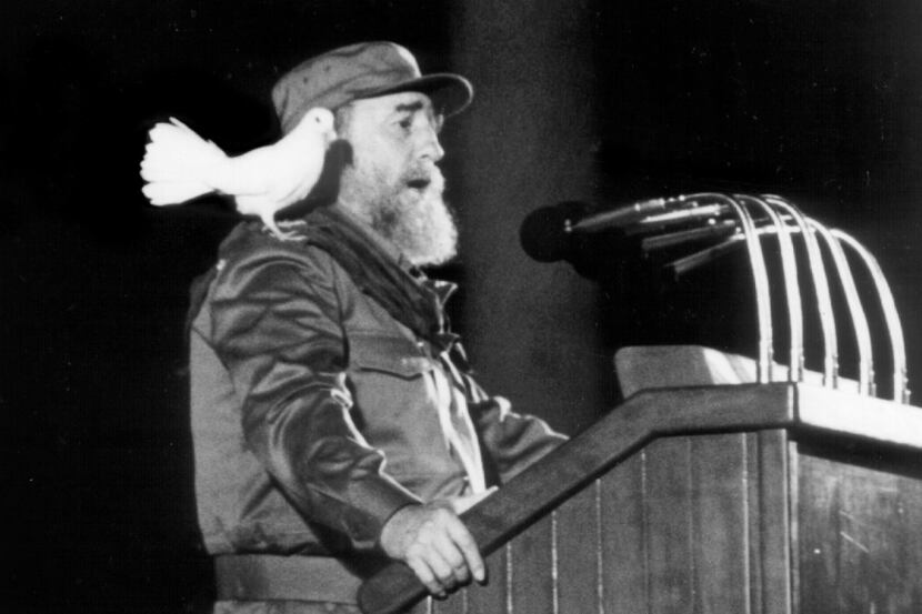 This file photo taken on Jan. 8, 1989, shows a white dove landing on Cuban president Fidel...