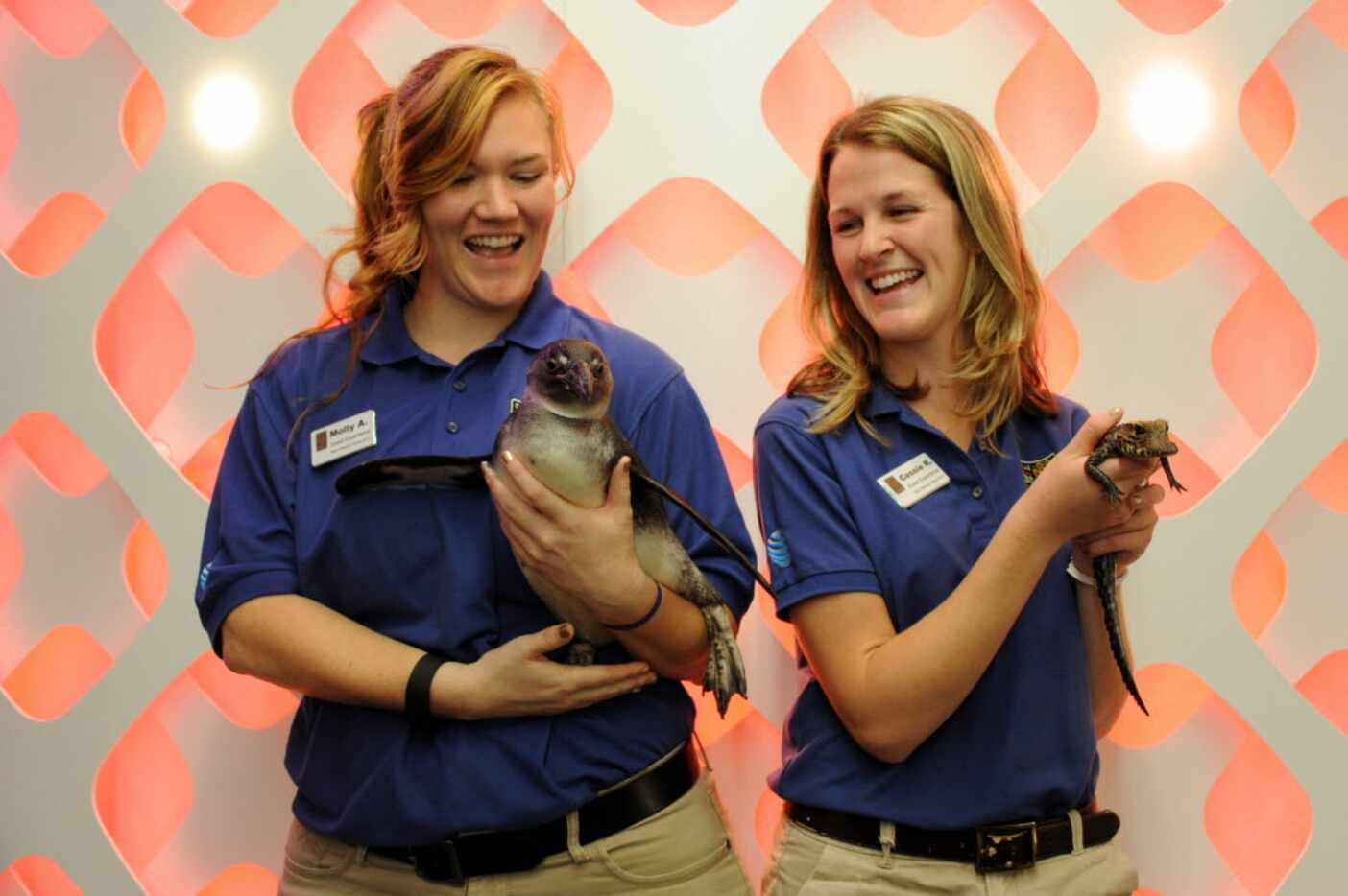 Molly Andrews and Cassie Richards from the Dallas Zoo bring friends Melody the penguin and...