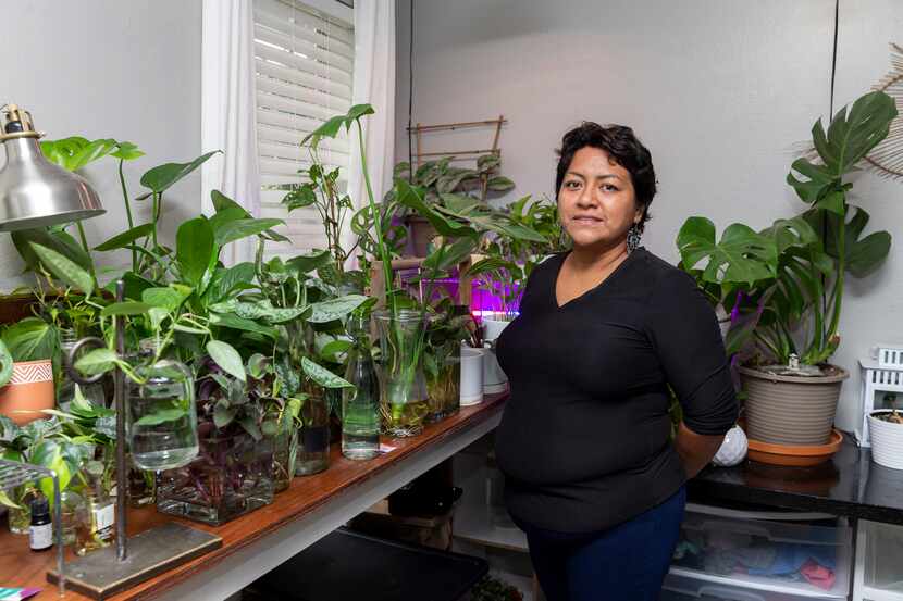 Lily de la Cruz, who sells plants along with furniture to support her family, says, “Finding...